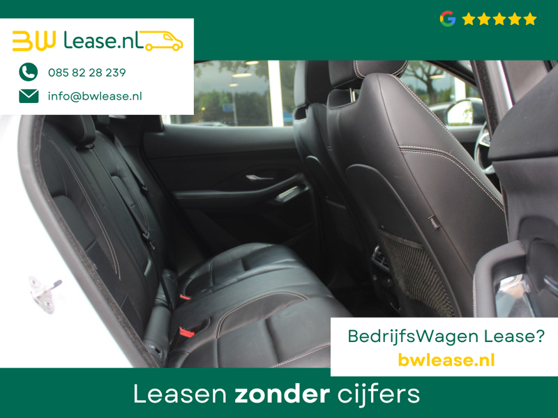 image12.jpg