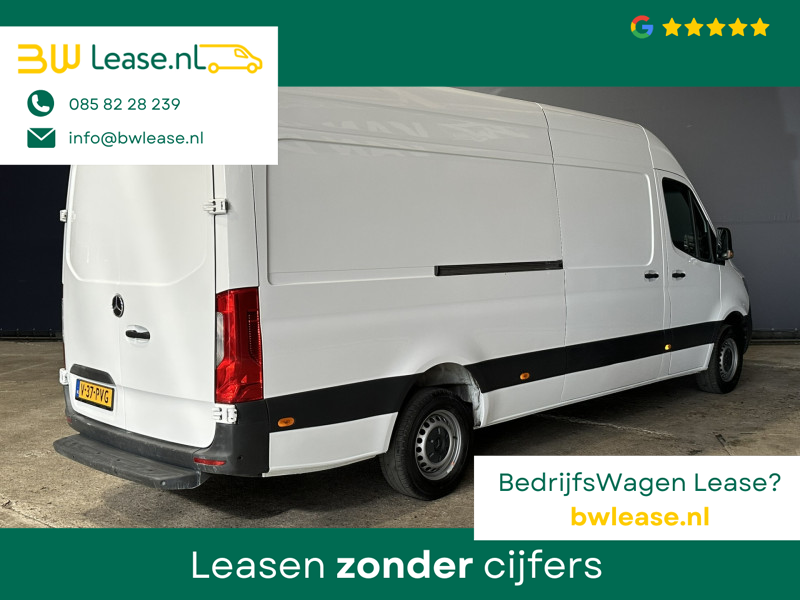 image12.jpg