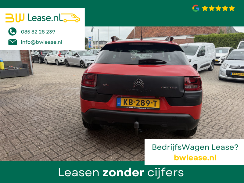 image12.jpg