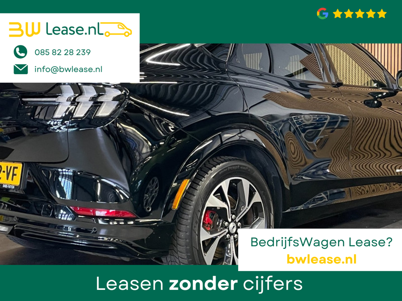 image6.jpg
